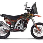 BLEND ORANGE